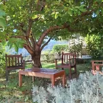 Guest house Castellu D'orezza 4*