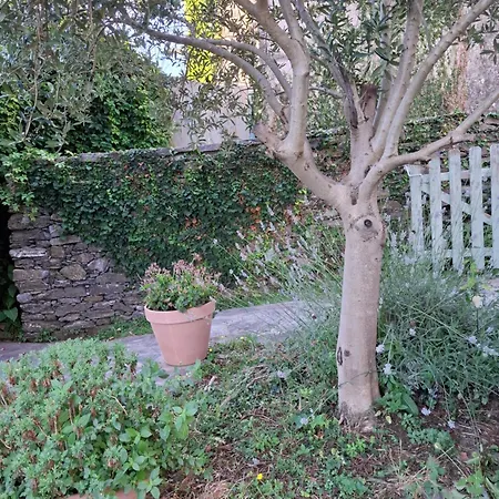 Castellu D'orezza 招待所 3*