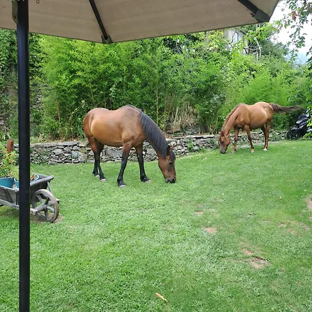 Castellu D'orezza Gasthuis 3*