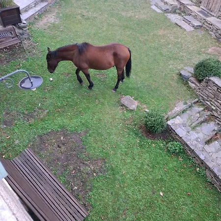 Castellu D'orezza Carcheto