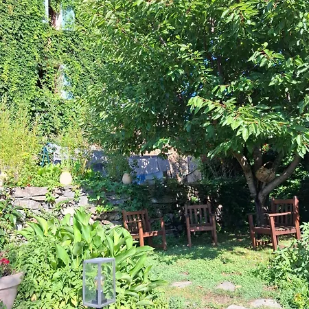 Castellu D'orezza 3* Carcheto