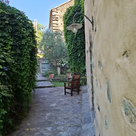 بيت ضيافة Castellu D'orezza