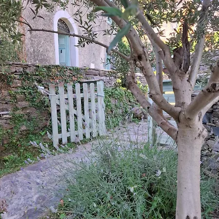 Castellu D'orezza Gasthuis Carcheto