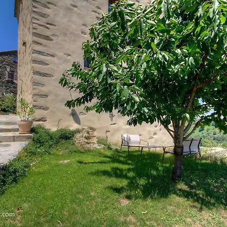 招待所 Castellu D'orezza Carcheto