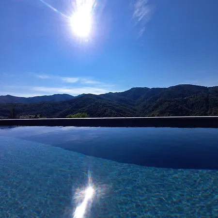 Castellu D'orezza Carcheto