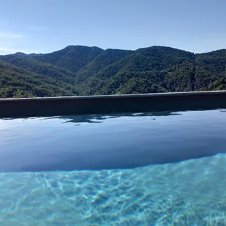 Castellu D'orezza Carcheto