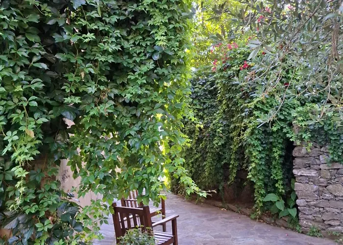 Castellu D'orezza 3*