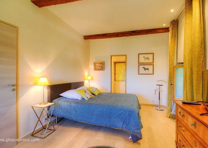 Castellu D'orezza Gæstehus Carcheto